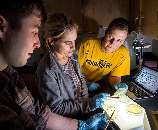 Biology professor and students look at petri dishes in a darkened laboratory