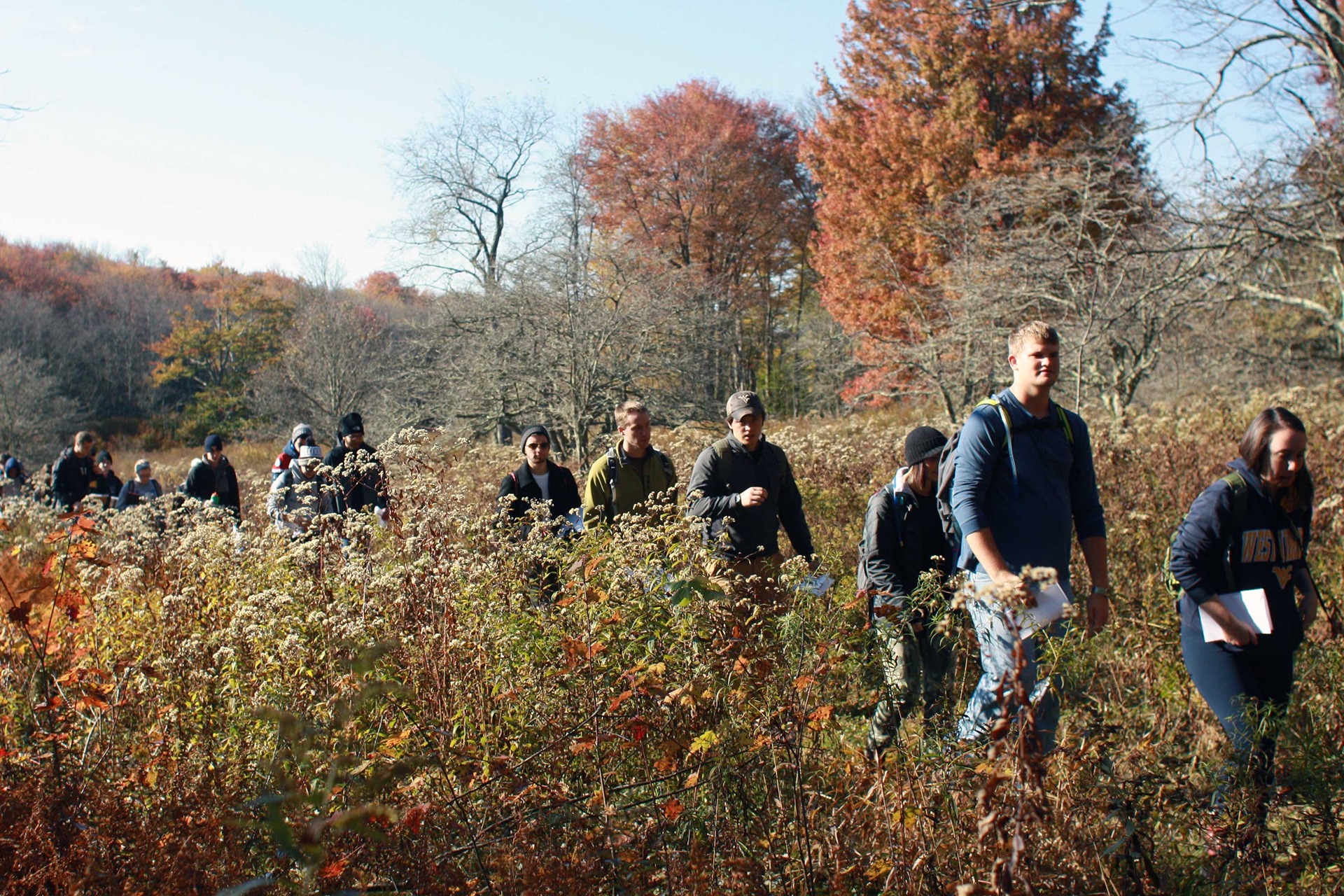 Line of students walking in a field on an autumn day