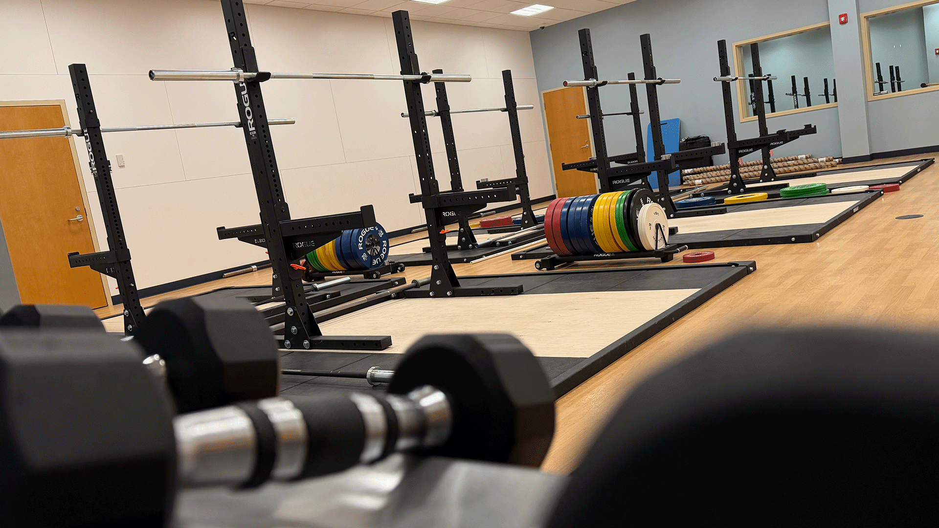 Room with free weights and lifting stations