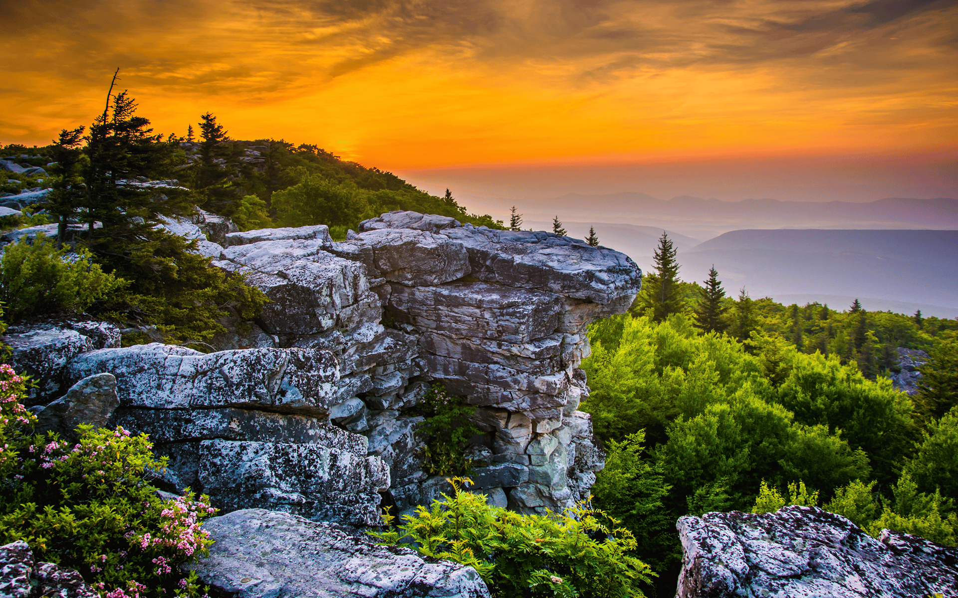 Rocky overlook and evergreen forest beneath an orange sunset over the Appalachian Mountains.