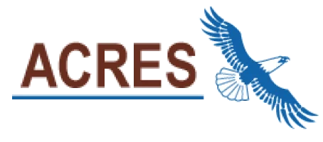 RSQ Logo